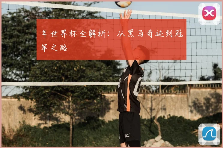 年世界杯全解析：从黑马奇迹到冠军之路