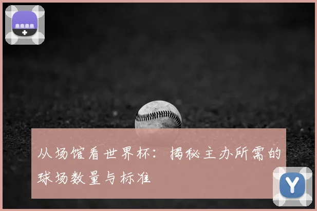 从场馆看世界杯：揭秘主办所需的球场数量与标准